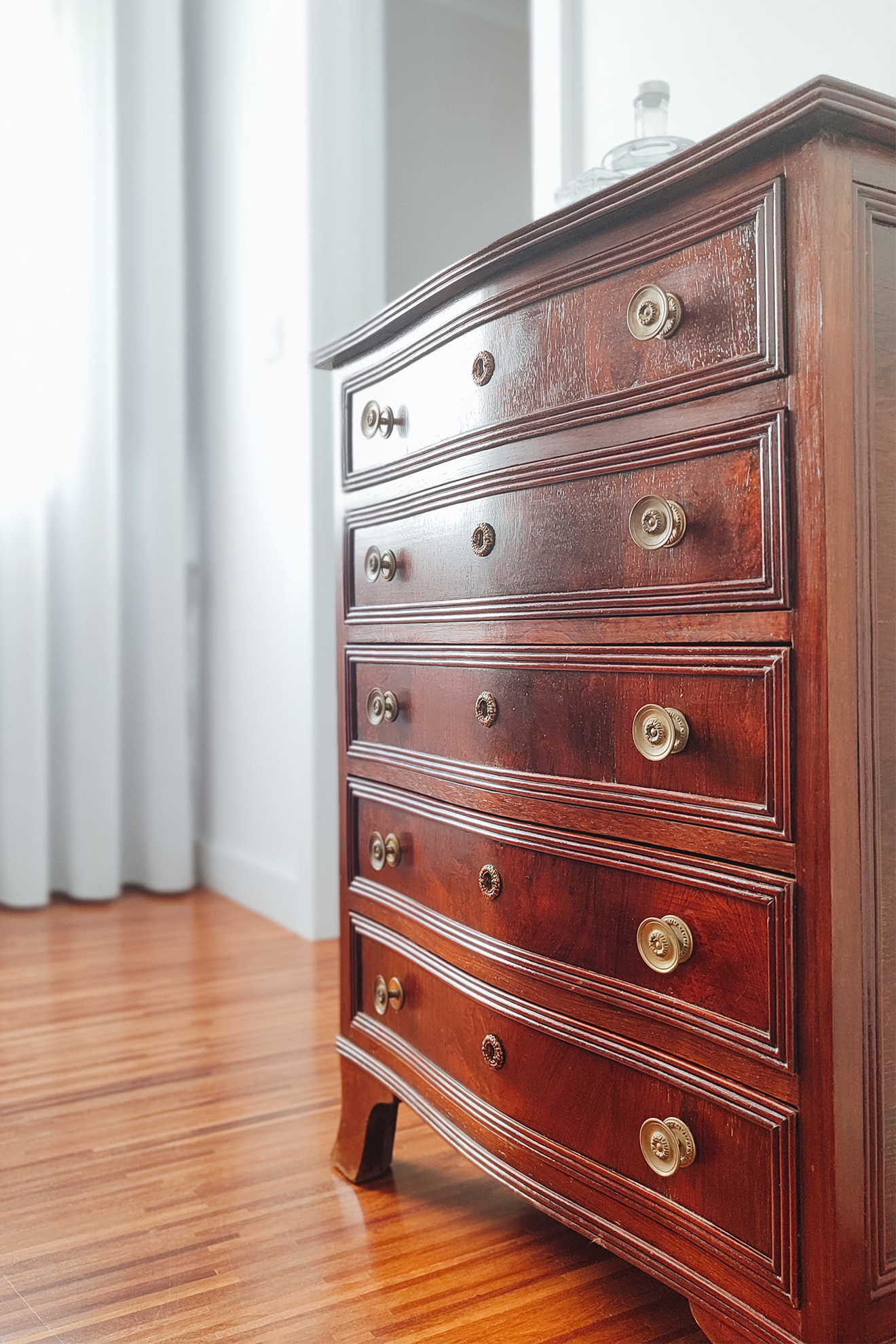 santo_20240308_160755